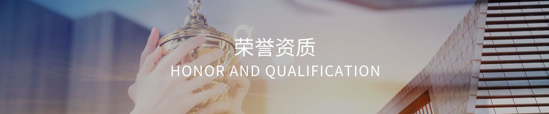 濟南維曼斯安防技術(shù)有限公司